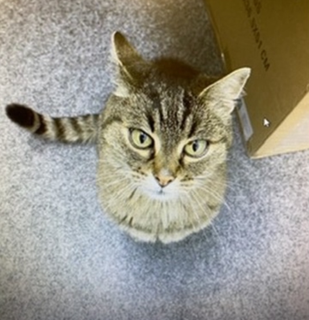 Buchenau_2023 (230).jpg